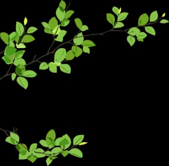 Leaf decoration top left