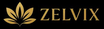 Zelvix logo